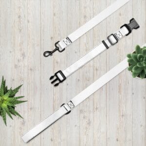 Pet collar & leash